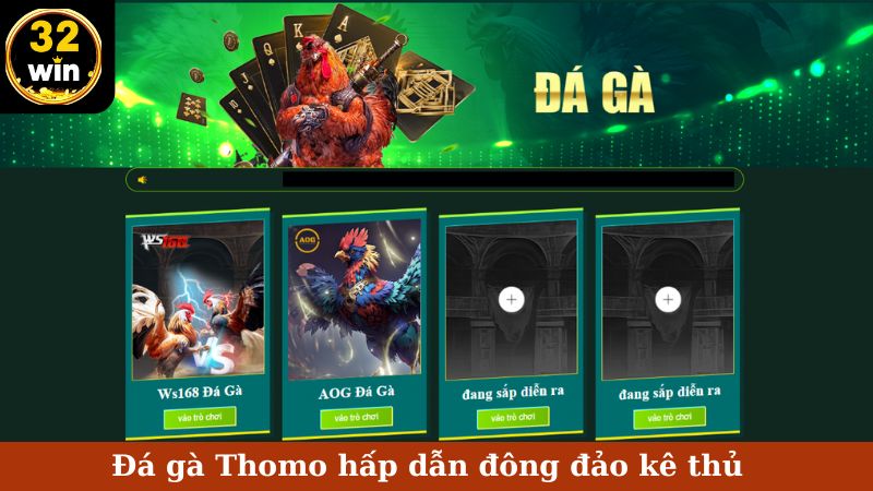 Đá gà Thomo hấp dẫn đông đảo kê thủ