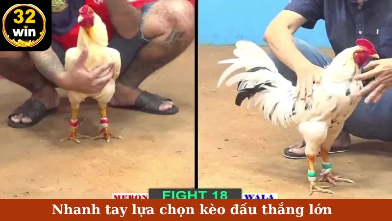 Nhanh tay lựa chọn kèo đấu thắng lớn