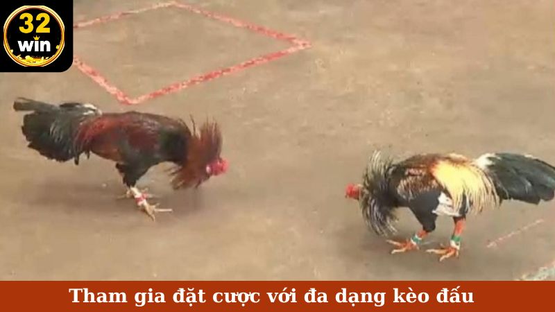 Tham gia đặt cược với đa dạng kèo đấu