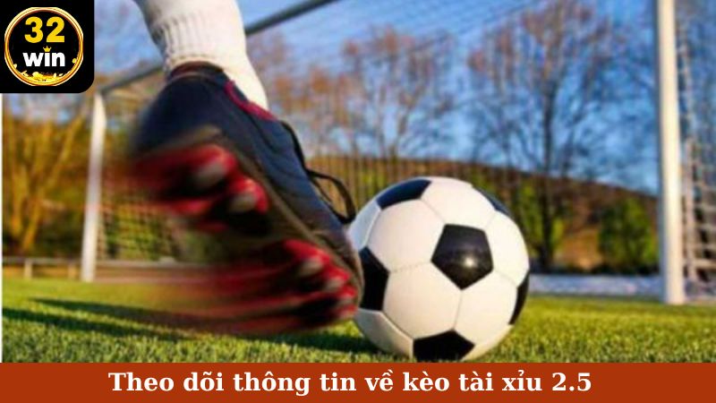 Theo dõi thông tin về kèo tài xỉu 2.5