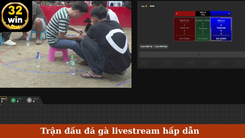 Trận đấu đá gà livestream hấp dẫn