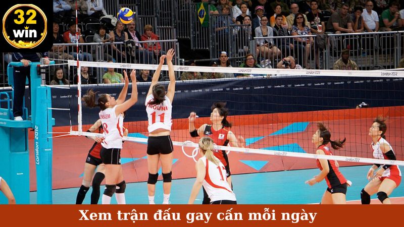 Xem trận đấu gay cấn mỗi ngày